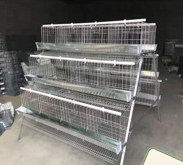 chicken cage frame