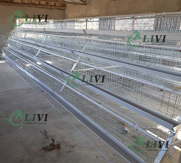 Best Price A-type 128 Birds Layer Chicken Cages for Poultry Farms