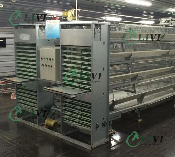 Poultry Farming Galvanized Battery Layer Chicken Cage 160 Birds for Sale in Zambia