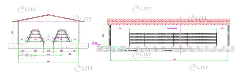 Poultry-Farming-Solutions-for-10,000-Layers-Chicken-Farming