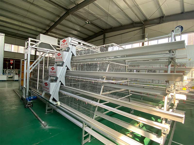 A-type-layer-cages