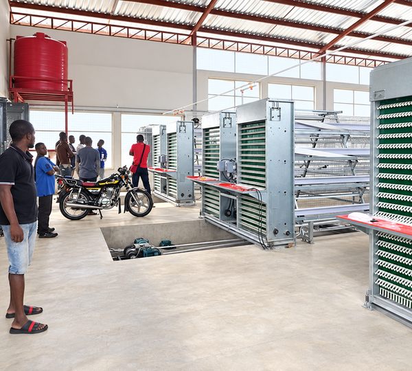 Hot Sale Poultry Farm A Type Full Automatic Egg Chickens Poultry Farm Layer Battery Cage Nigeria
