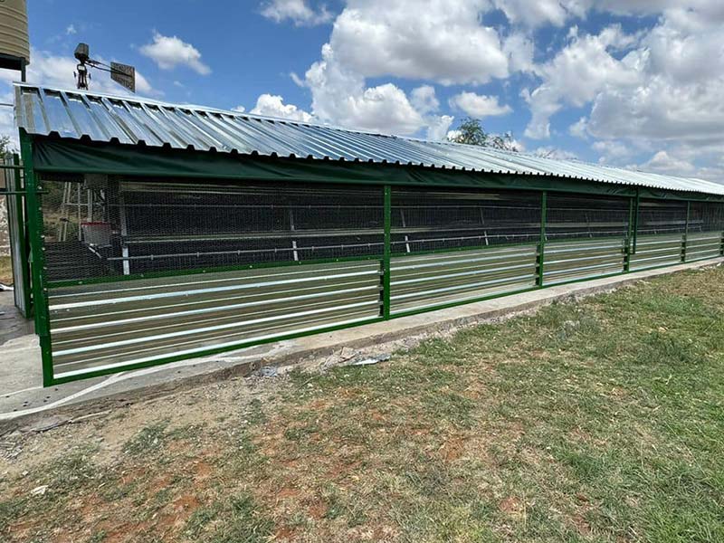30000 birds farm layer cage system.