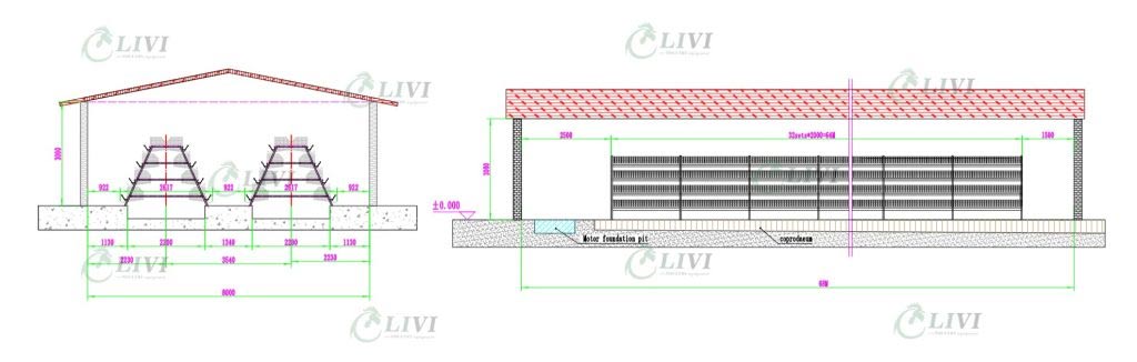 Poultry-Farming-Solutions-For-10,000-Layers-Chicken-Farming