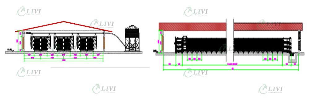 Poultry Farming Solutions for 20,000 Broiler Chicken Raising