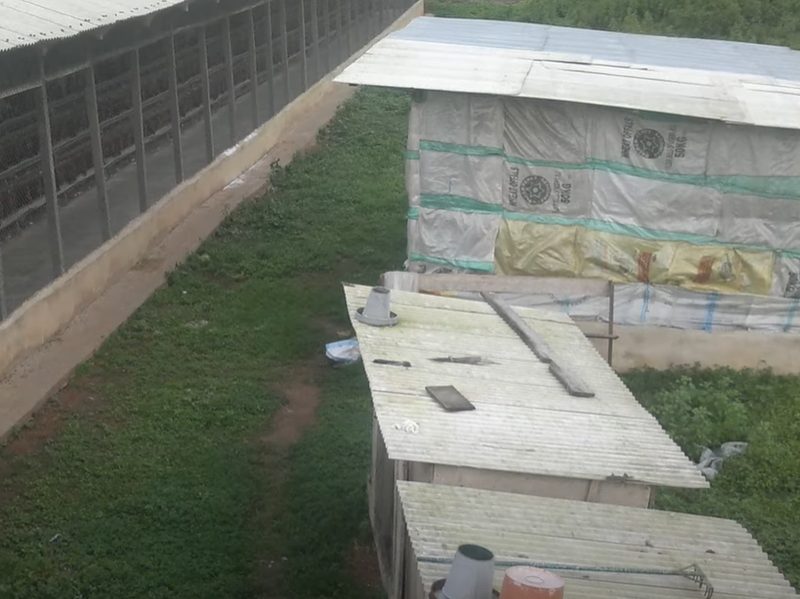 Best Price A-type 128 Birds Layer Chicken Cages for Poultry Farms in