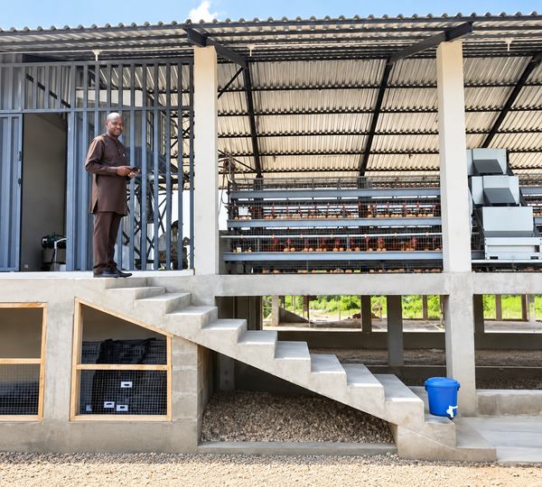 Hot Sale Poultry Farm A Type Full Automatic Egg Chickens Poultry Farm Layer Battery Cage Nigeria